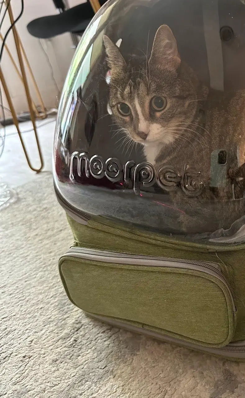 The Growing Mart Breathable Cat Backpack Carrier - Clear Travel Pet Bag