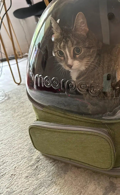 The Growing Mart Breathable Cat Backpack Carrier - Clear Travel Pet Bag