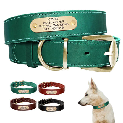 The Growing Mart Personalized Leather Dog Collar with Engraved Name Plate