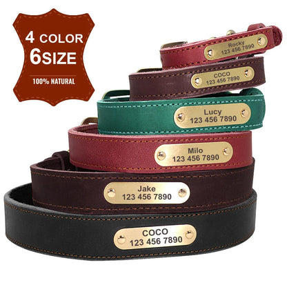 The Growing Mart Personalized Leather Dog Collar with Engraved Name Plate