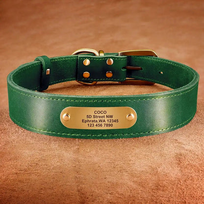 The Growing Mart Personalized Leather Dog Collar with Engraved Name Plate