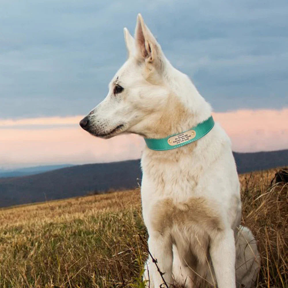 The Growing Mart Personalized Leather Dog Collar with Engraved Name Plate