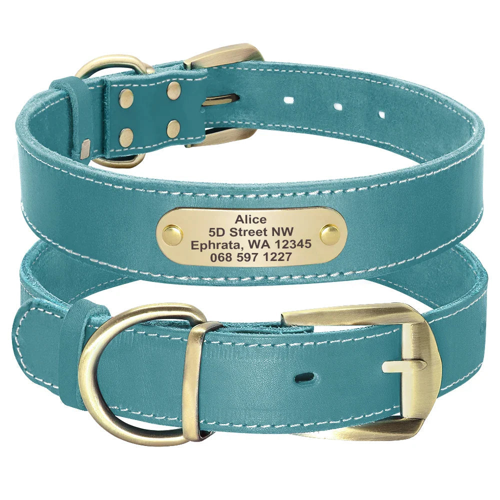 The Growing Mart Personalized Leather Dog Collar with Engraved Name Plate