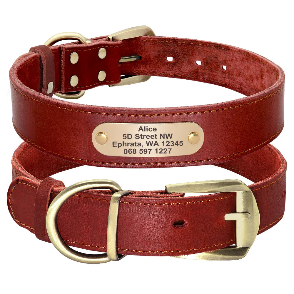 The Growing Mart Personalized Leather Dog Collar with Engraved Name Plate