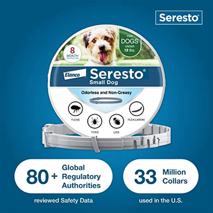 Flea & Tick Collar For Small Dogs